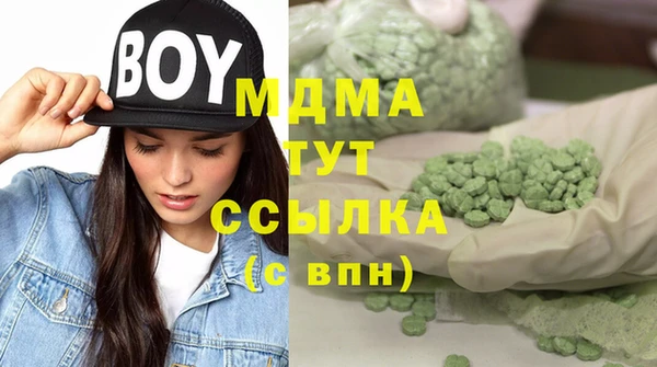 хмурый Алзамай