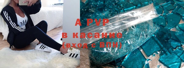 хмурый Алзамай