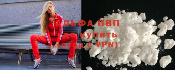 стаф Новозыбков