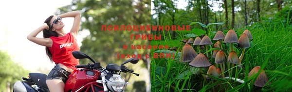 таблы Алексин
