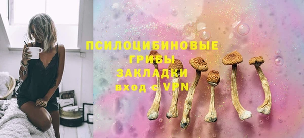 хмурый Алзамай