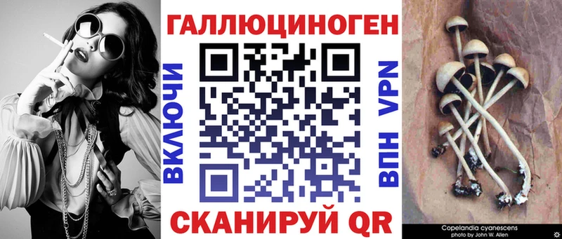 Псилоцибиновые грибы Cubensis  Черепаново 